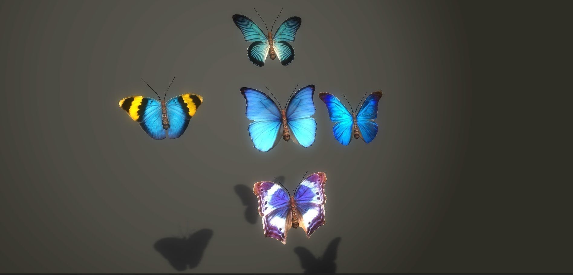 Butterflies Animated  Low-poly 3D model_6