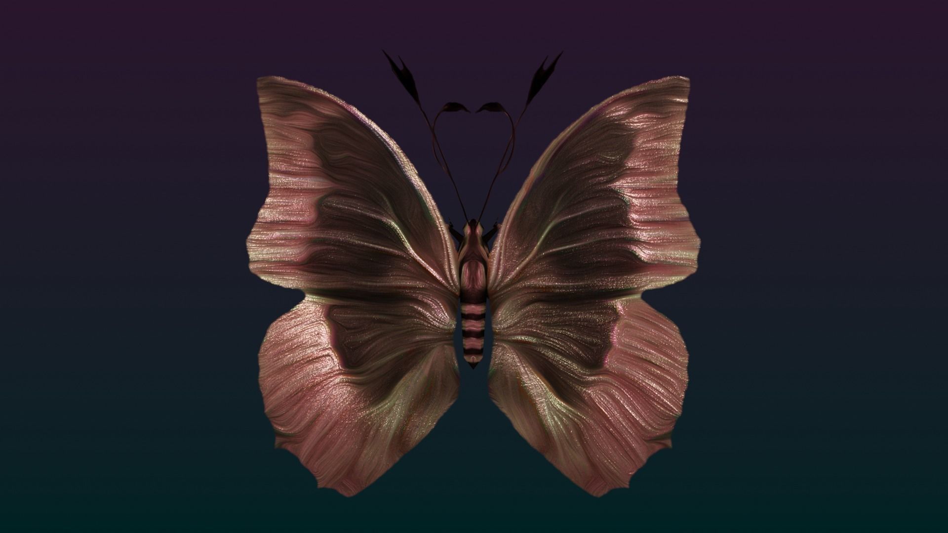 Butterflies Animated  Low-poly 3D model_17