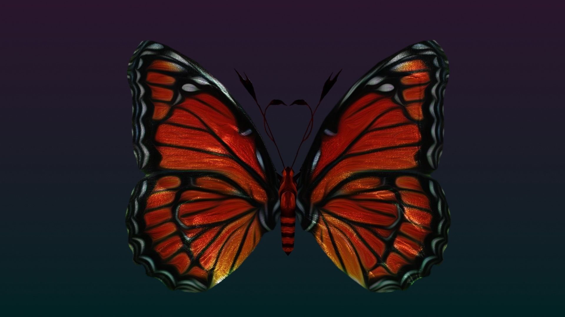 Butterflies Animated  Low-poly 3D model_33
