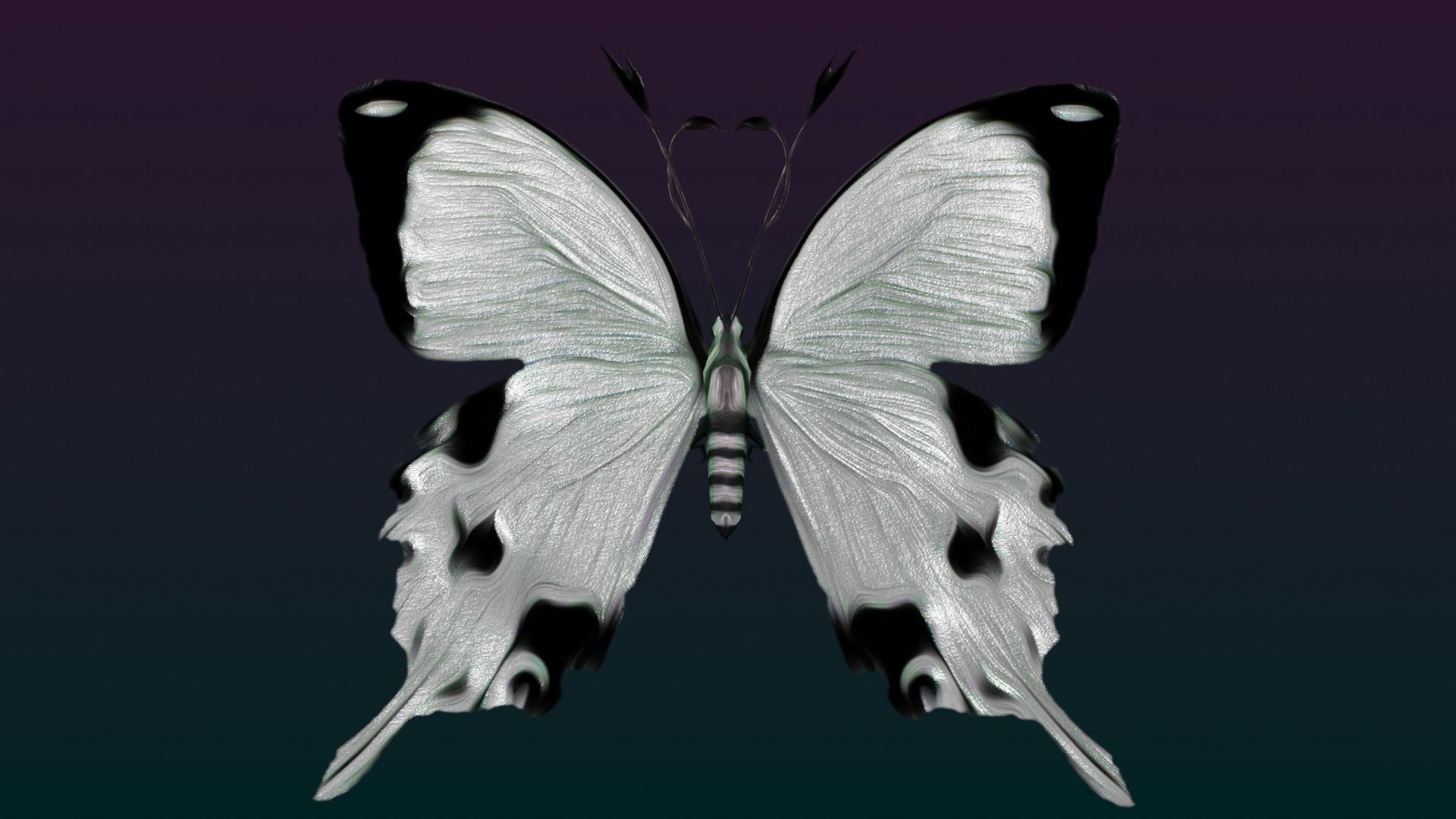 Butterflies Animated  Low-poly 3D model_27