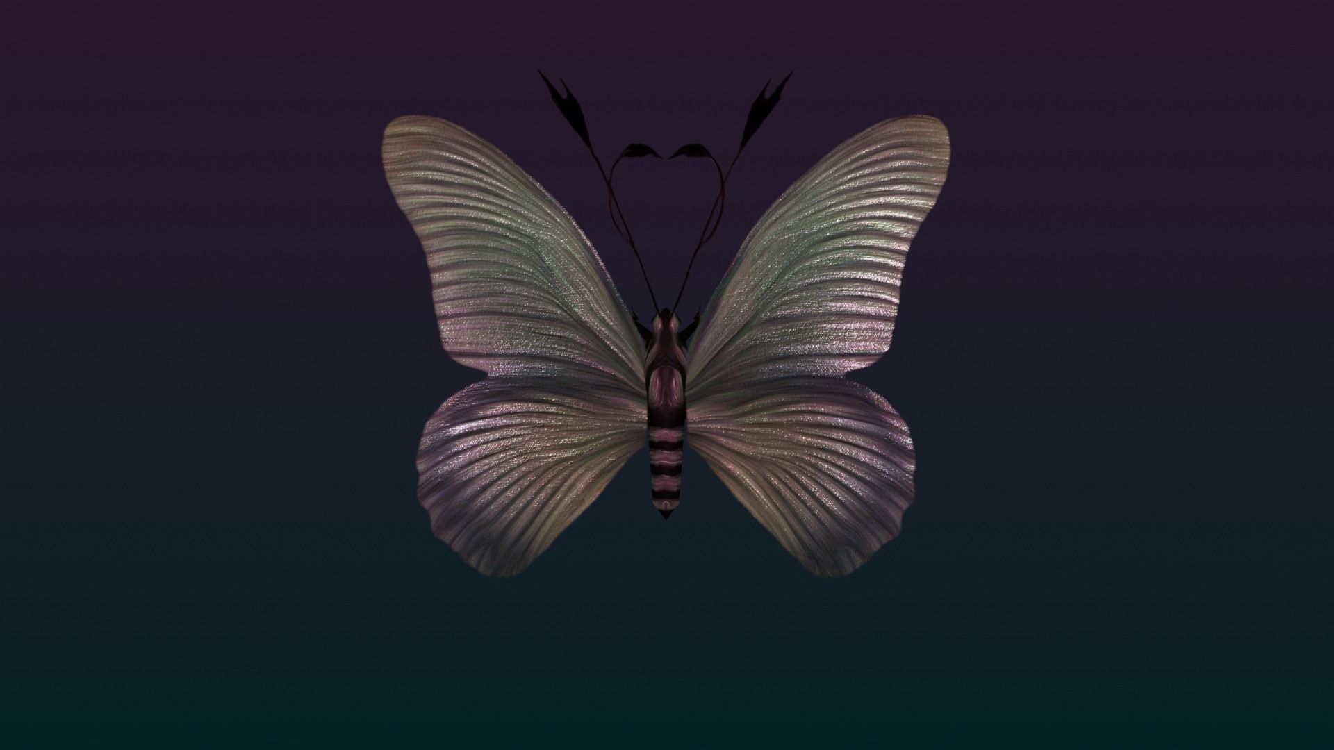 Butterflies Animated  Low-poly 3D model_32