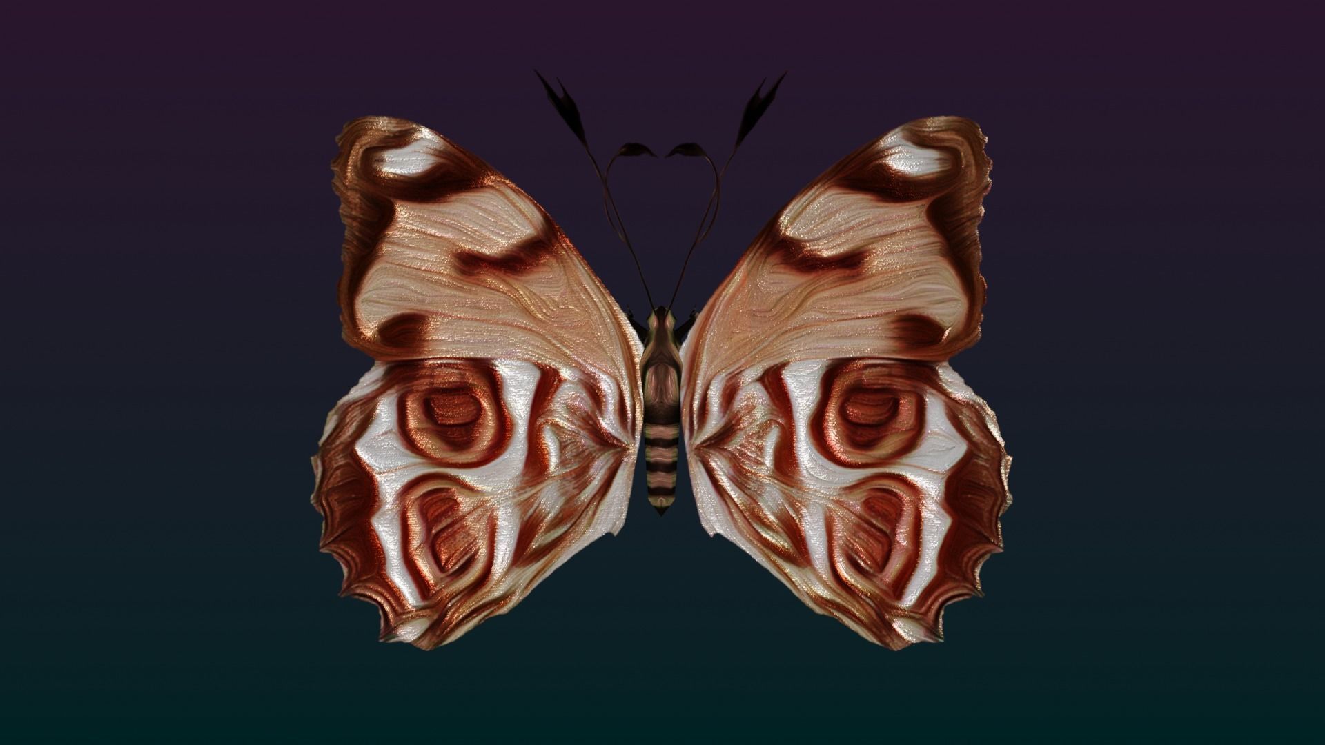 Butterflies Animated  Low-poly 3D model_19