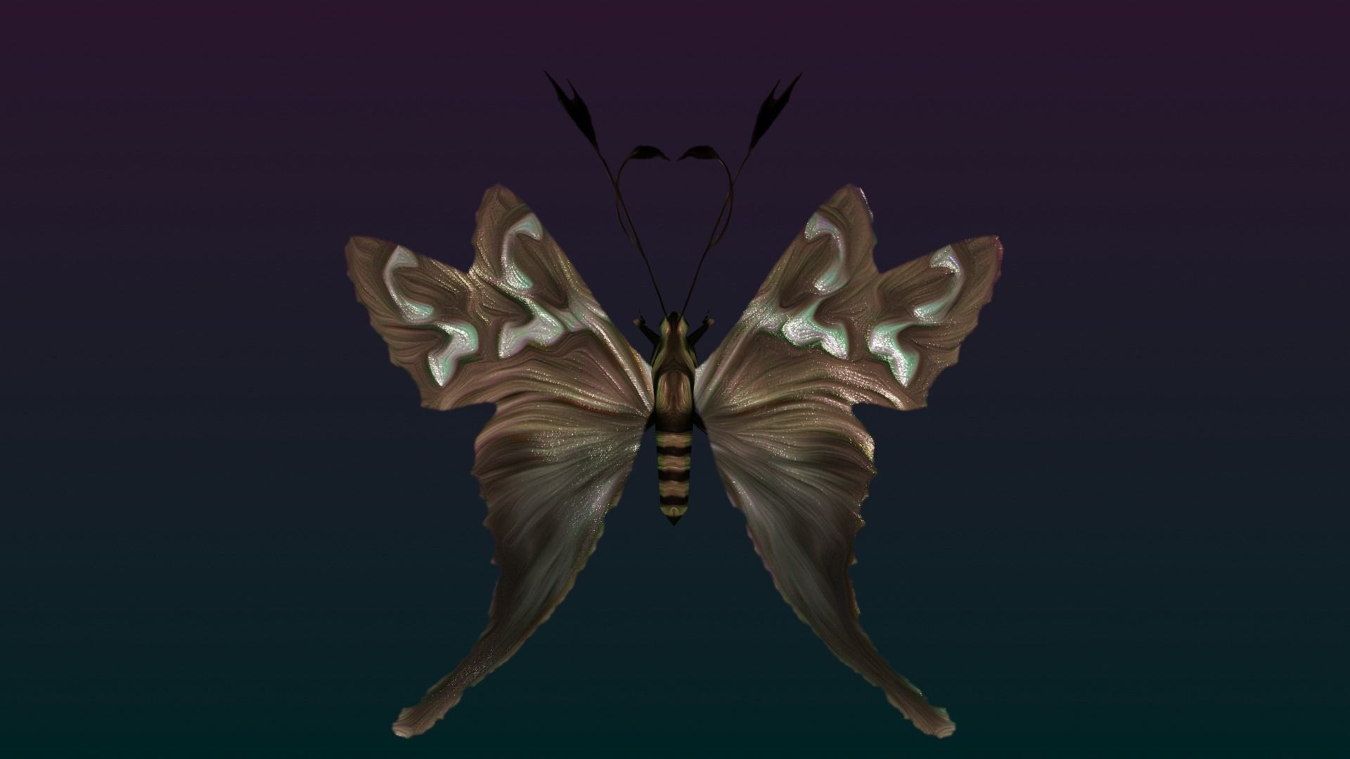 Butterflies Animated  Low-poly 3D model_23
