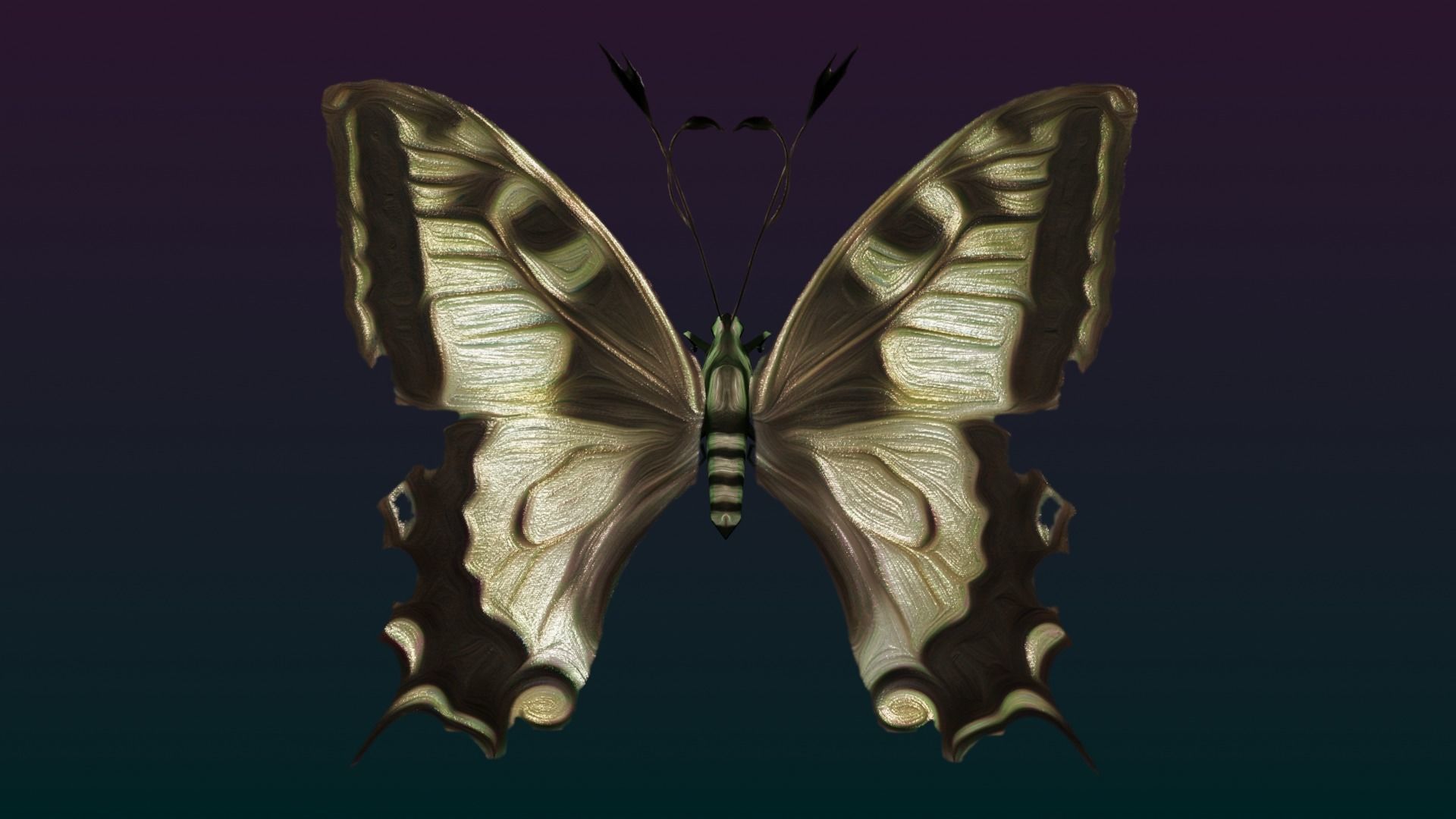 Butterflies Animated  Low-poly 3D model_28
