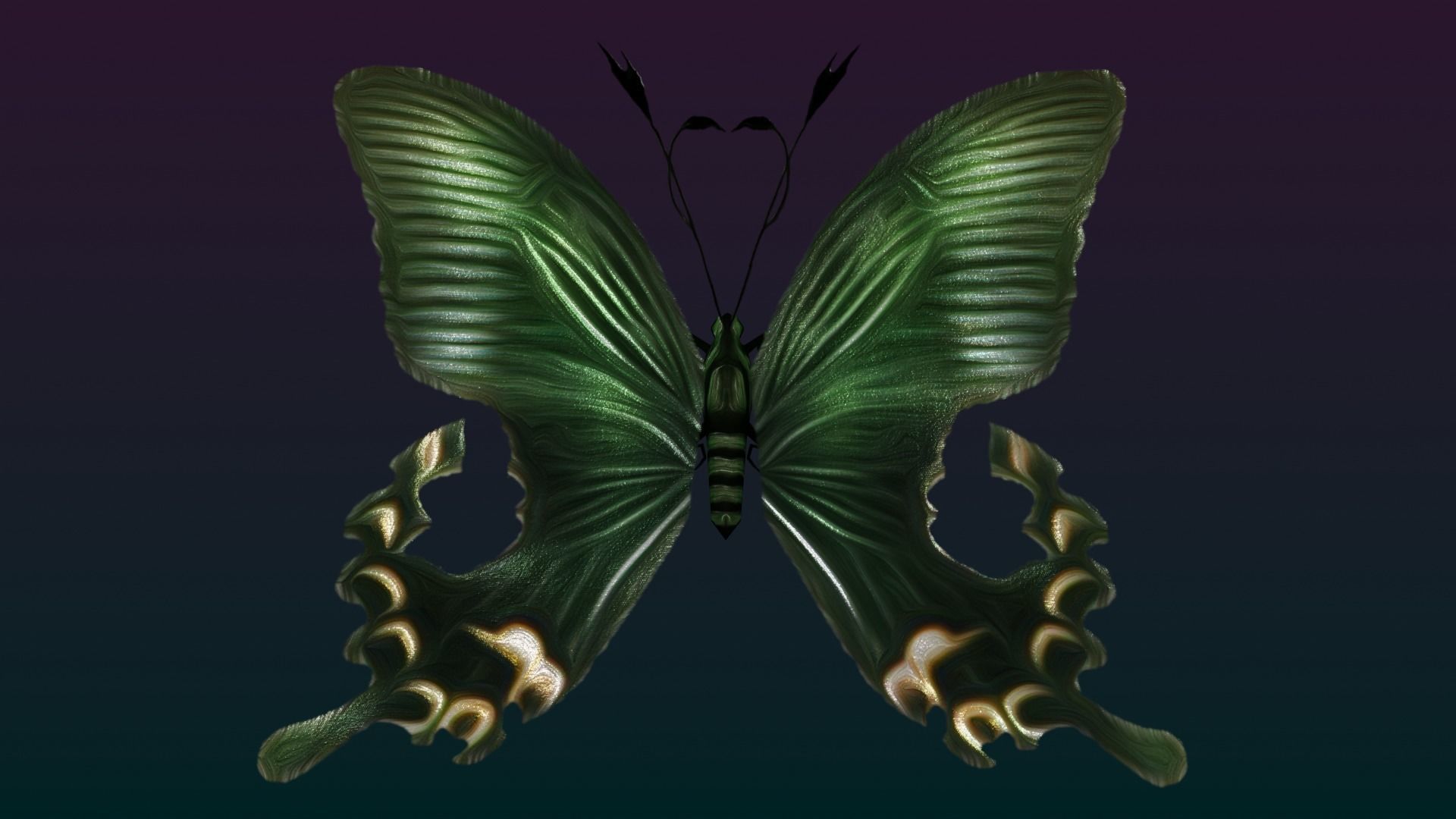 Butterflies Animated  Low-poly 3D model_20