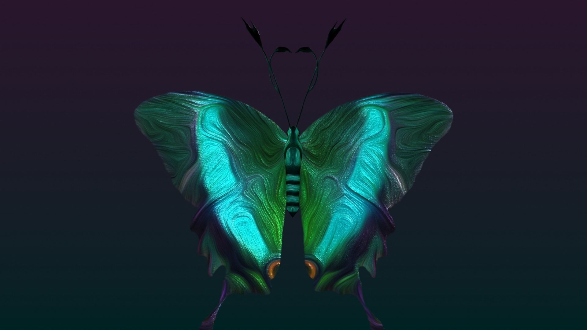 Butterflies Animated  Low-poly 3D model_25