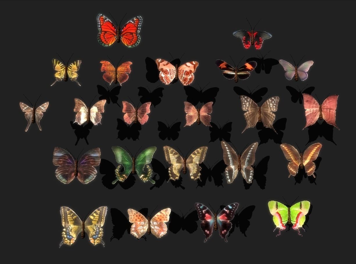 Butterflies Animated  Low-poly 3D model_14