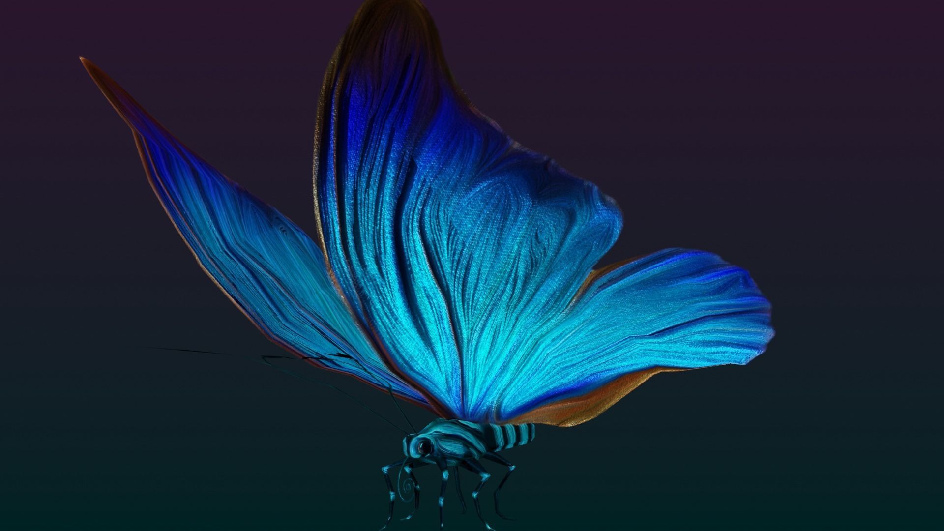 Butterflies Animated  Low-poly 3D model_10