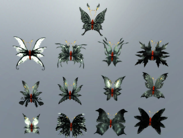 Butterflies 2 Animated  Low-poly 3D model_5