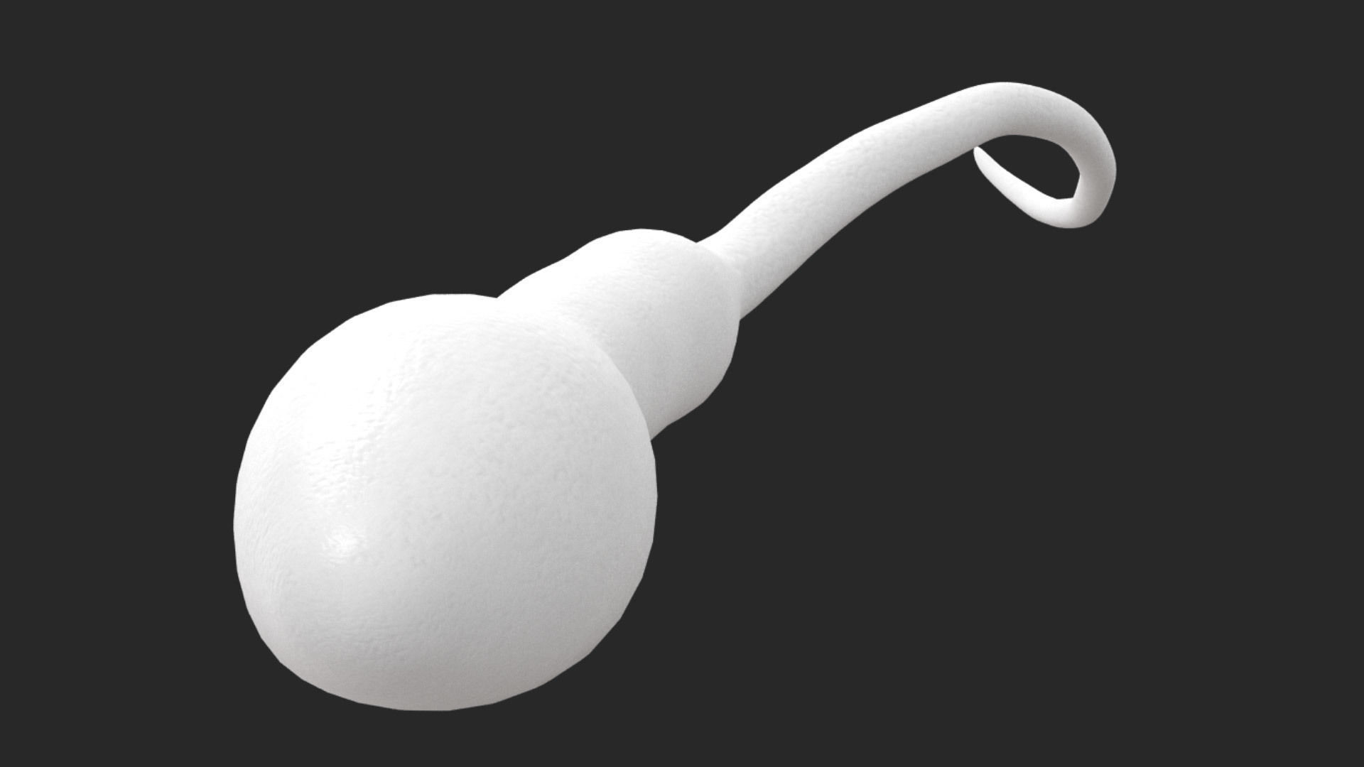 Human Sperm Cell Low-poly 3D model_10