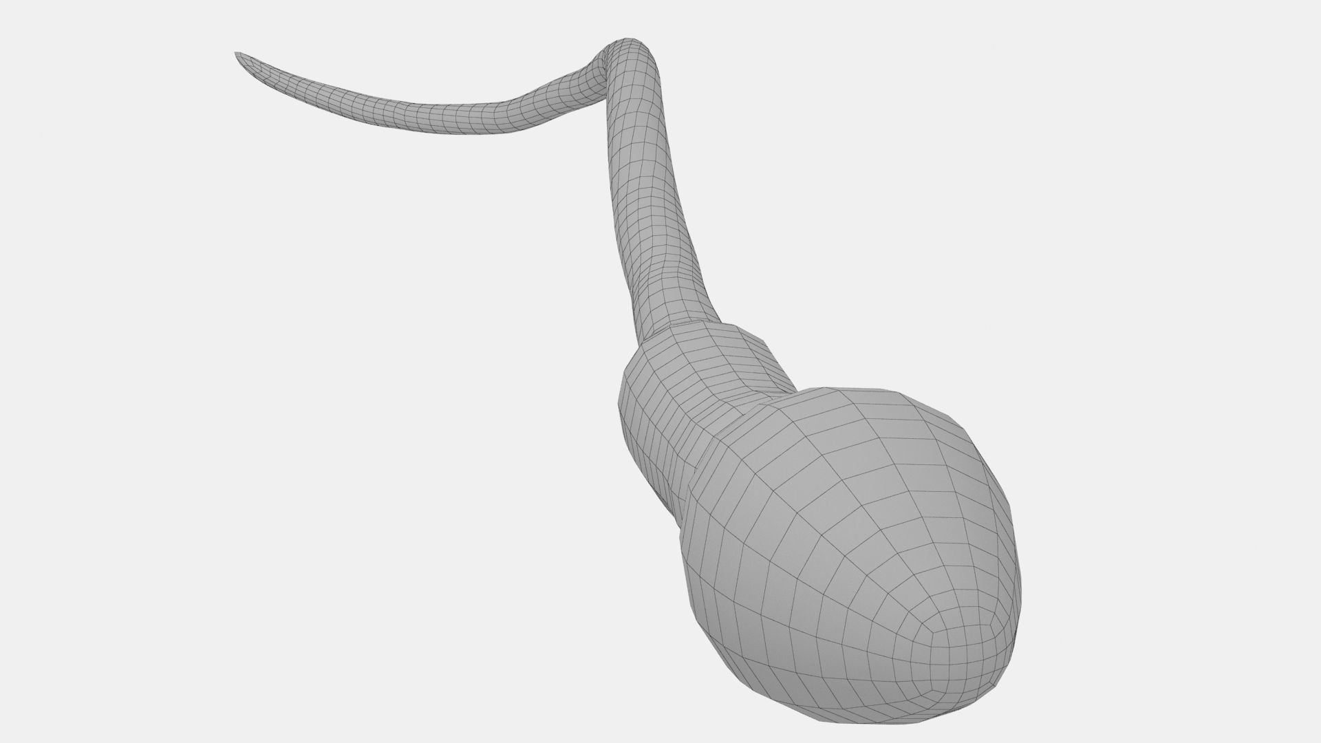 Human Sperm Cell Low-poly 3D model_12
