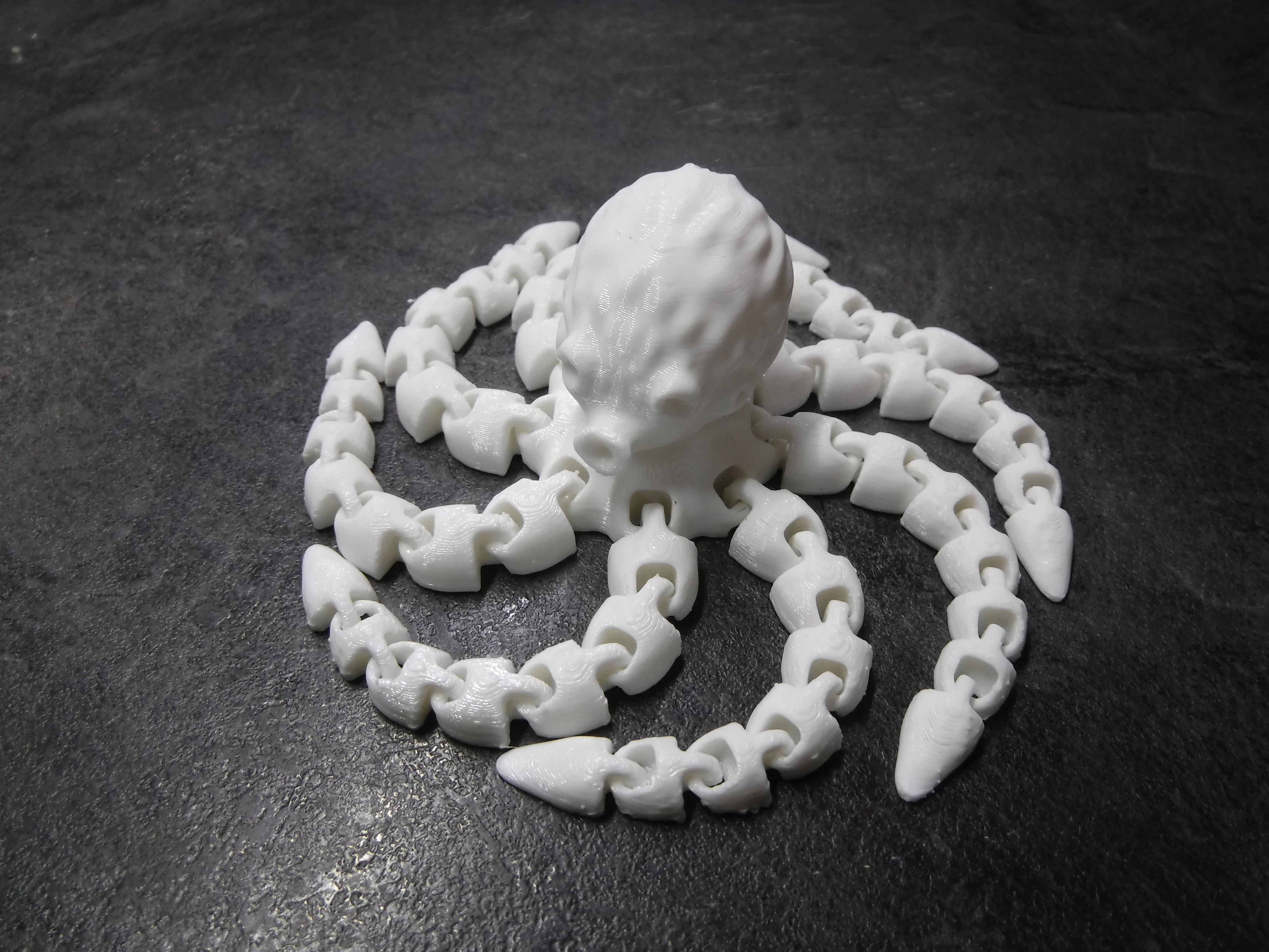 Wrinkly articulated flexi octopus 3D print model_8