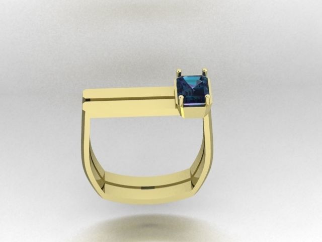 Rings 3D print model_1