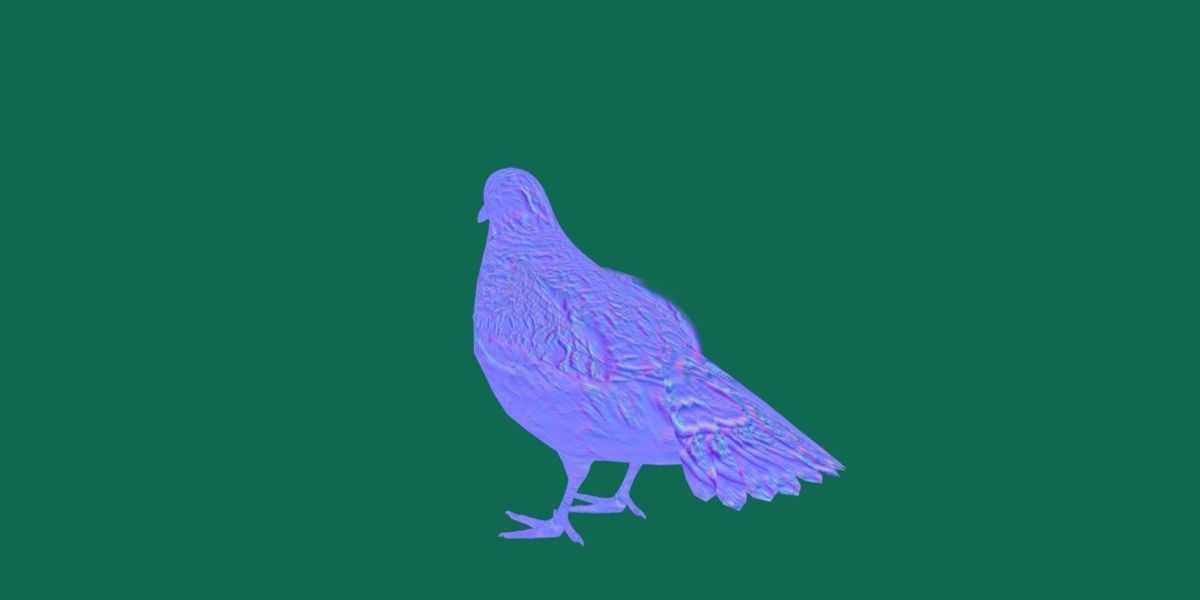 Masked Bobwhite Quail Bird Animal Low-poly 3D model_23