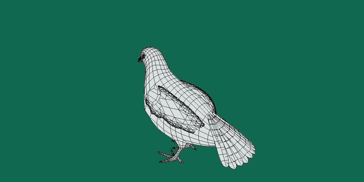 Masked Bobwhite Quail Bird Animal Low-poly 3D model_11