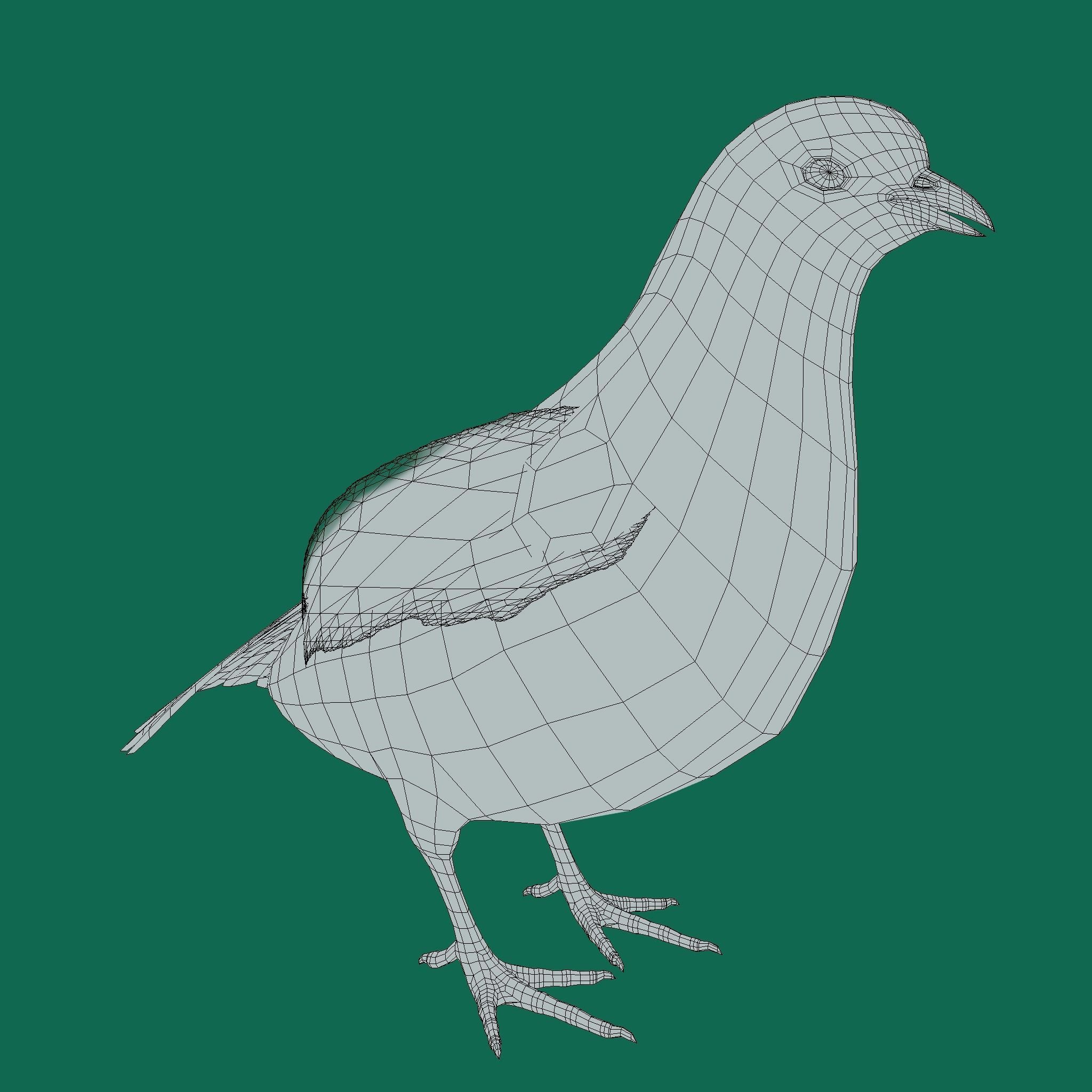 Masked Bobwhite Quail Bird Animal Low-poly 3D model_18