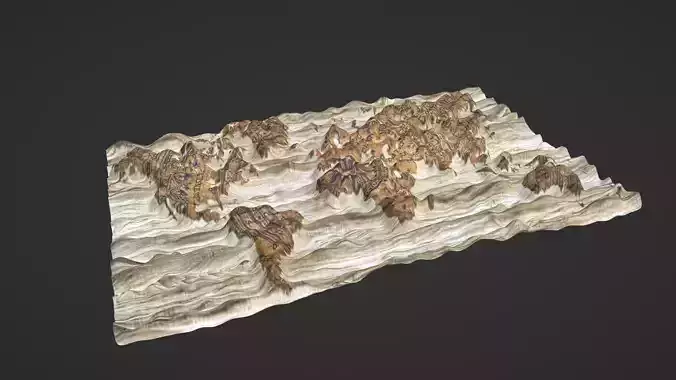 World Map Topography