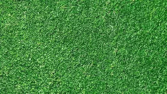 Grass close up of artificial Free 3D model