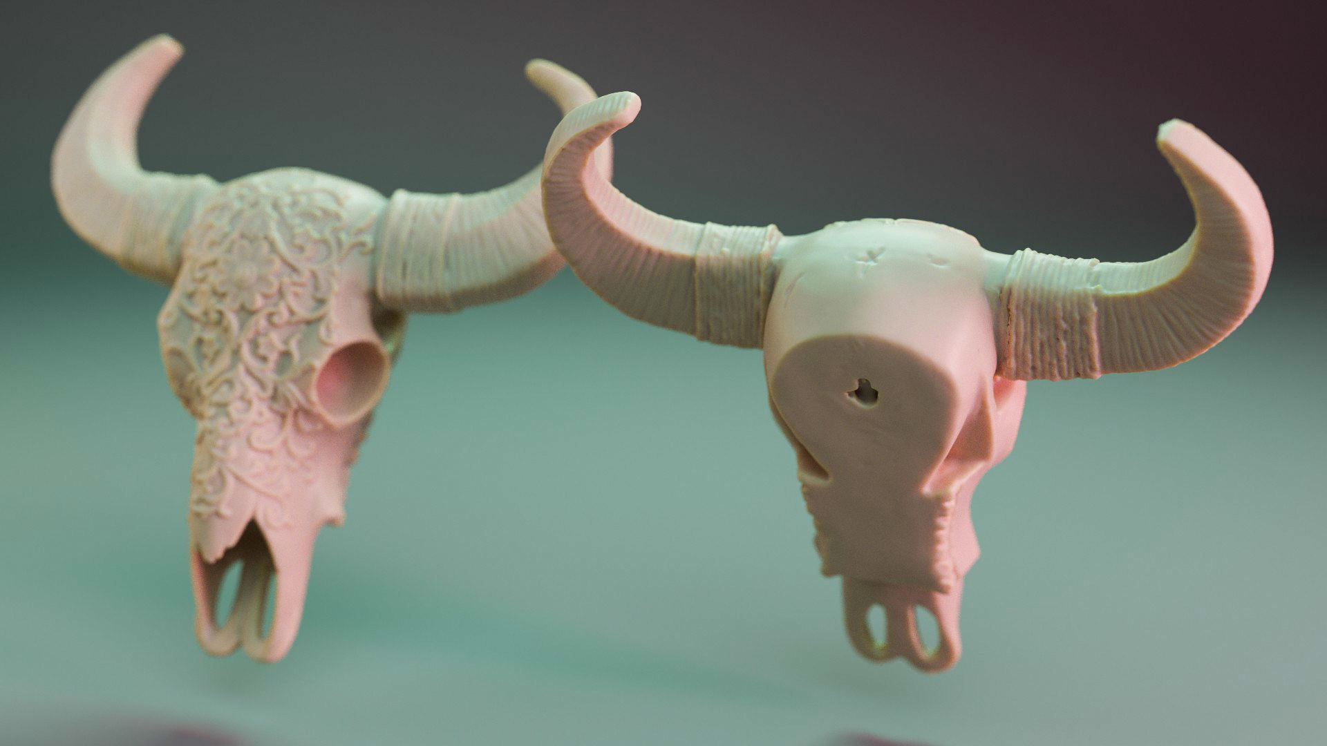 Animal Skull - Printable - scanned 3D model 3D printable | CGTrader