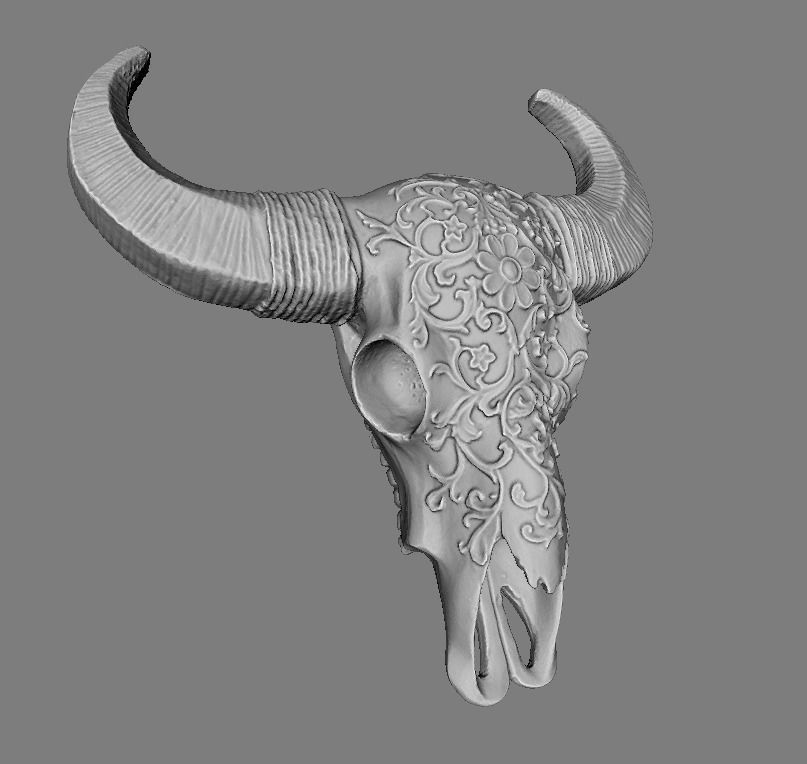 Animal Skull - Printable - scanned 3D model 3D printable | CGTrader