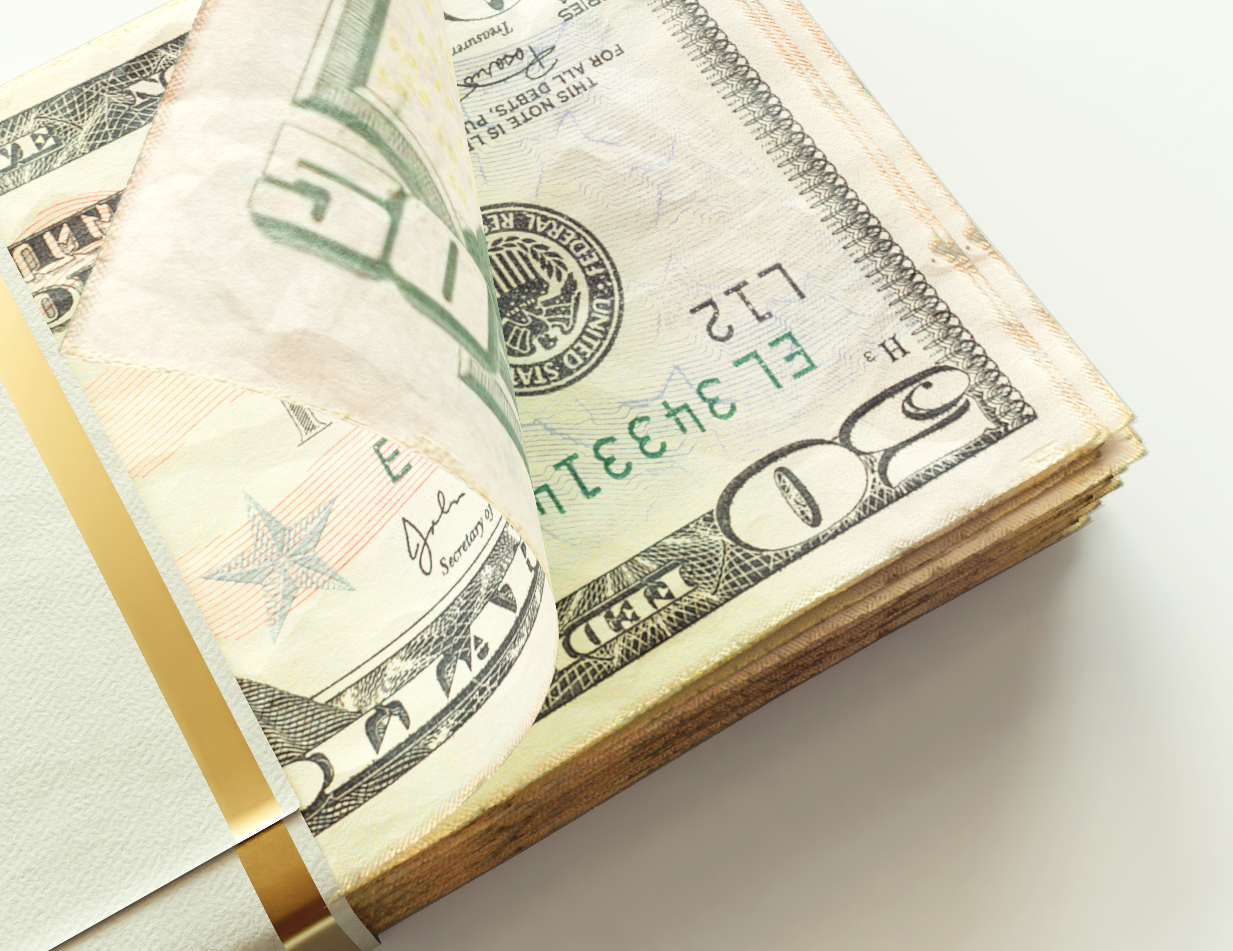 Cash Bundle US Dollar 3D model_1