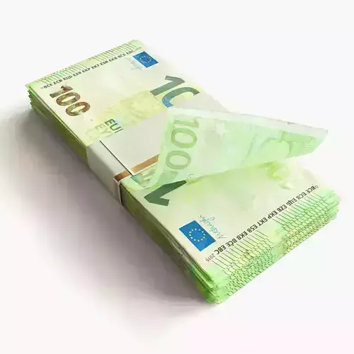Cash Bundle Euro 3D model