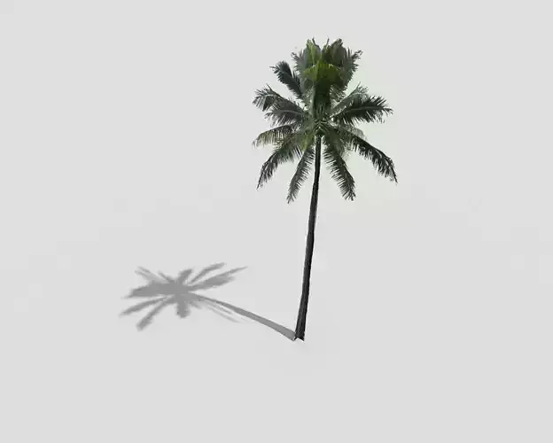 low poly palm tree Low-poly 3D model