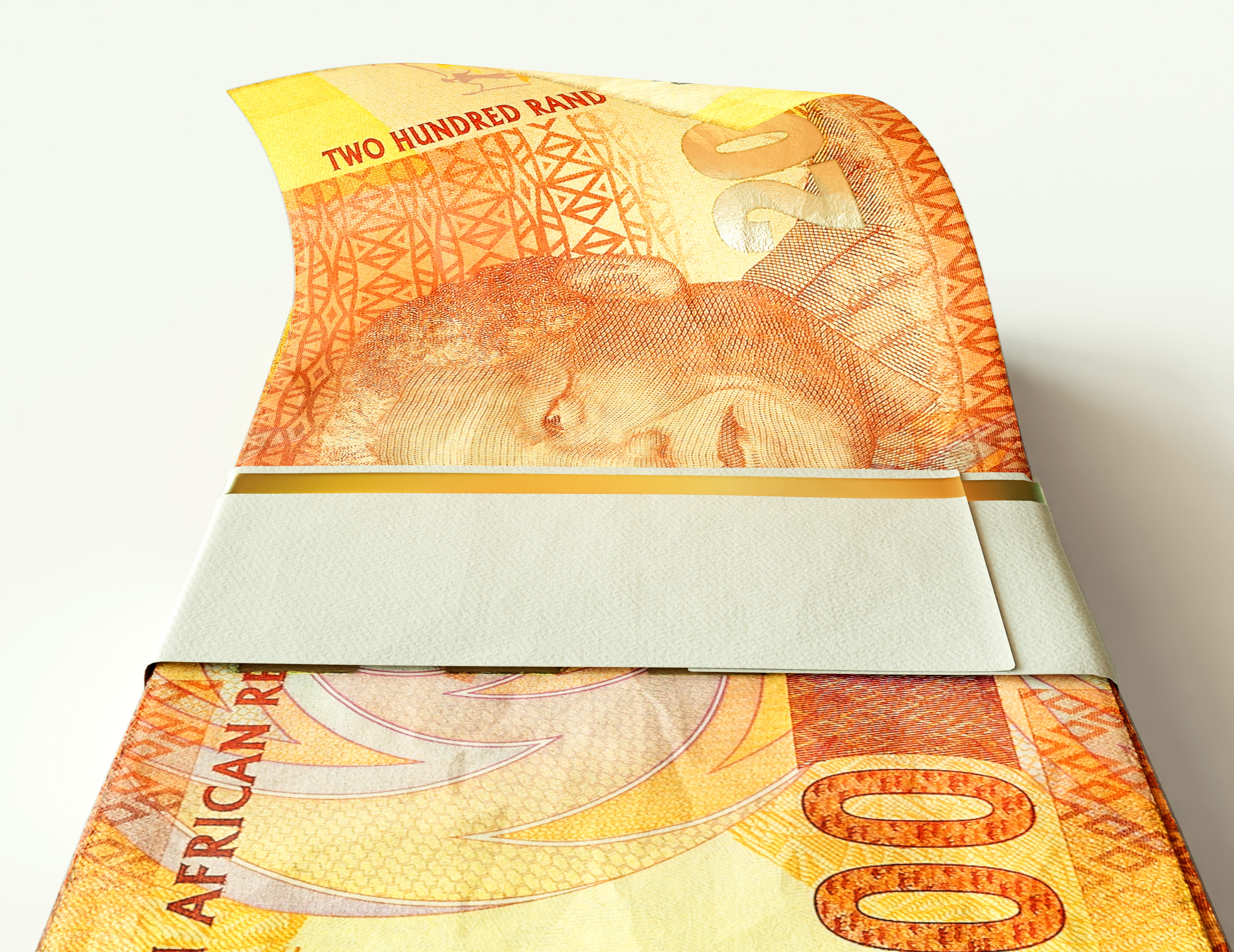 Cash Bundle South Africa Rand 3D model_4