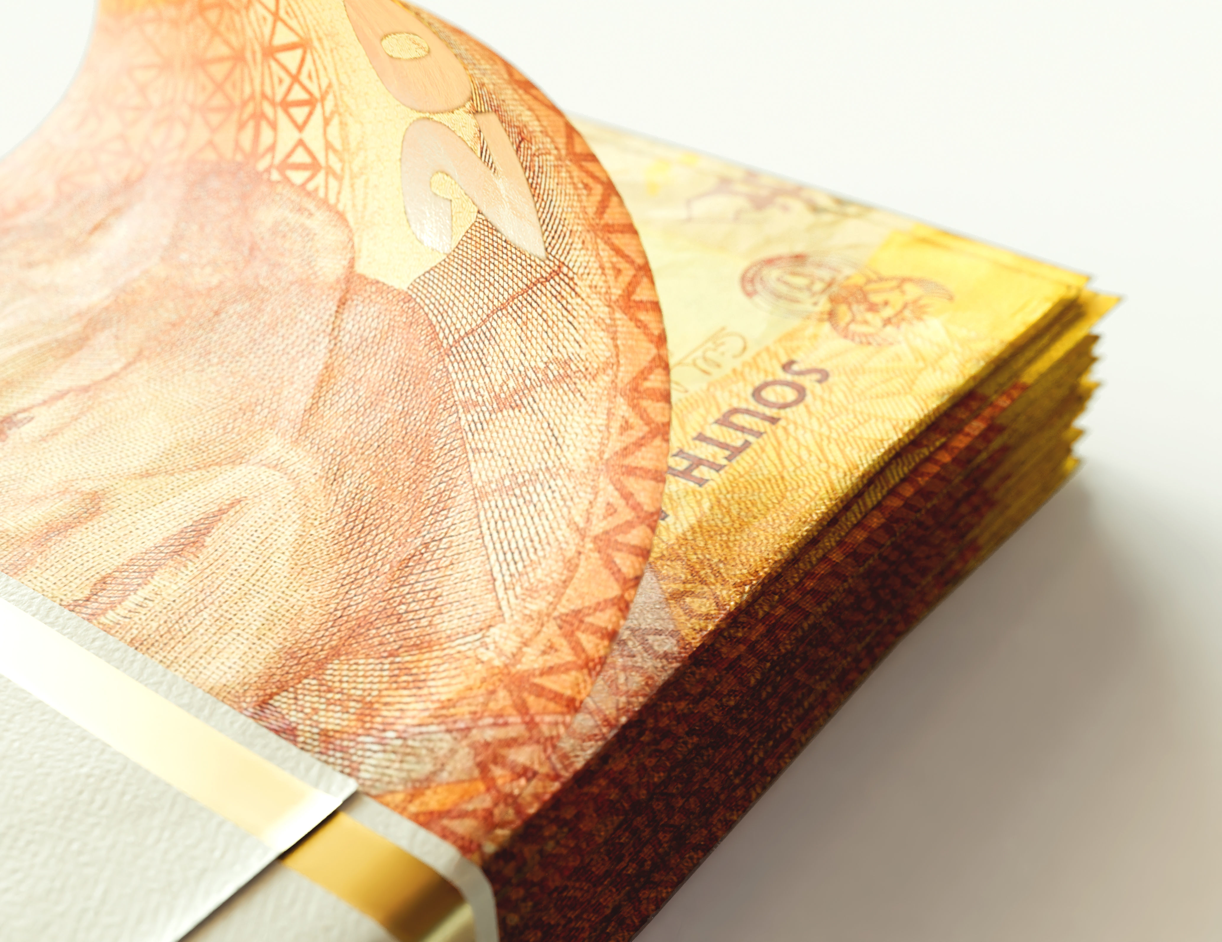 Cash Bundle South Africa Rand 3D model_3