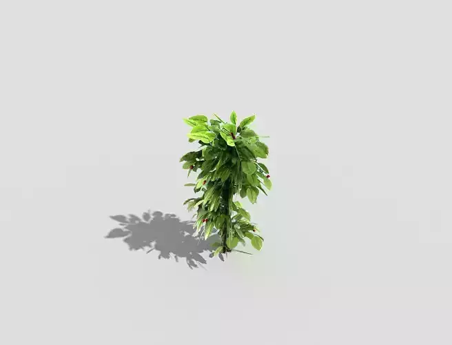 Low poly Plant