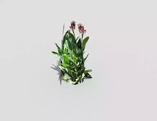 Low poly Plant