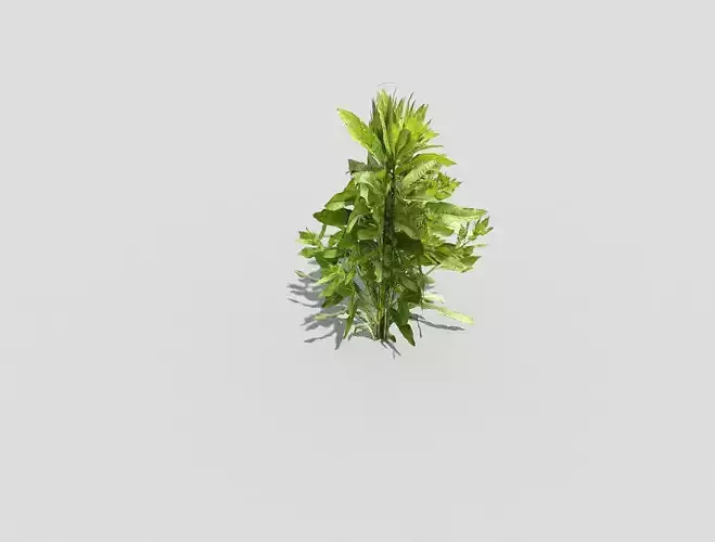 Low poly Plant