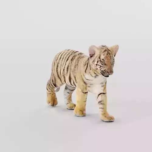 Baby Tiger Cub Animal Low-poly 3D model