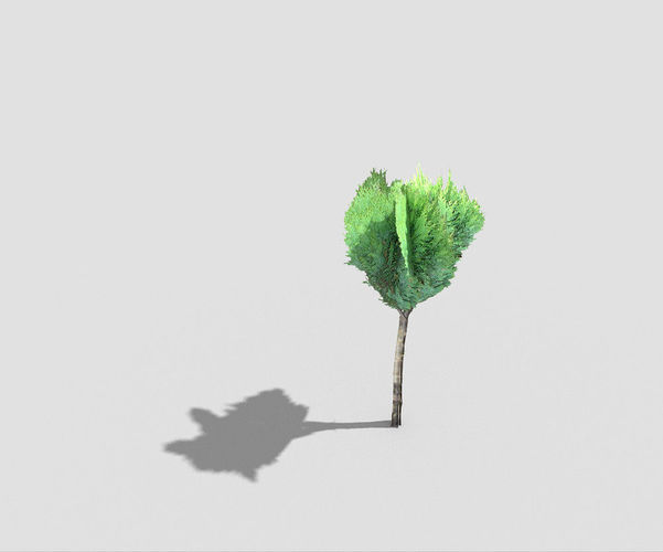 low poly tall tropical tree Low-poly 3D model