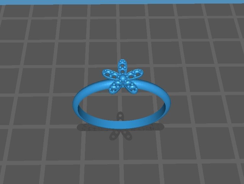 Anel A1010 3D print model_3