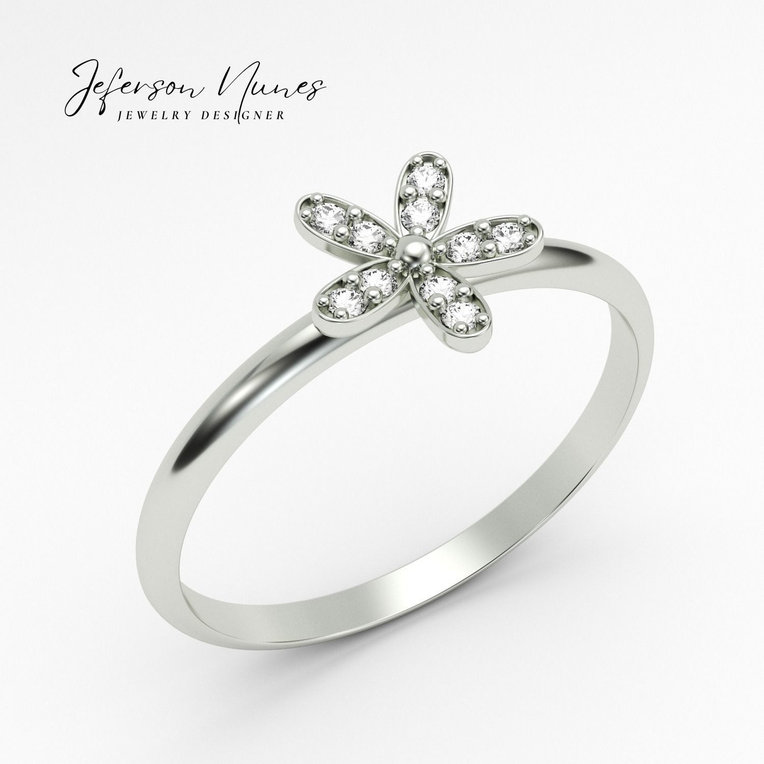 Anel A1010 3D print model_1