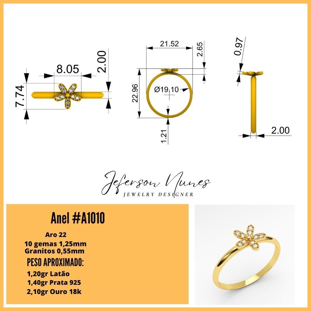 Anel A1010 3D print model_2