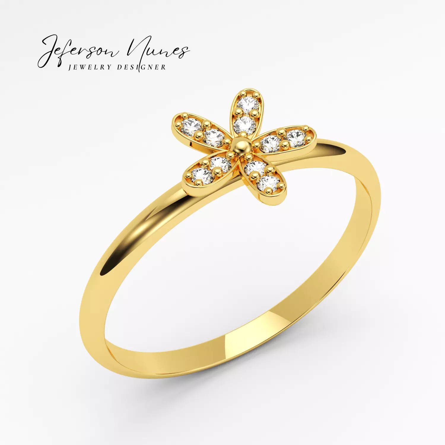 Anel A1010 3D print model_0