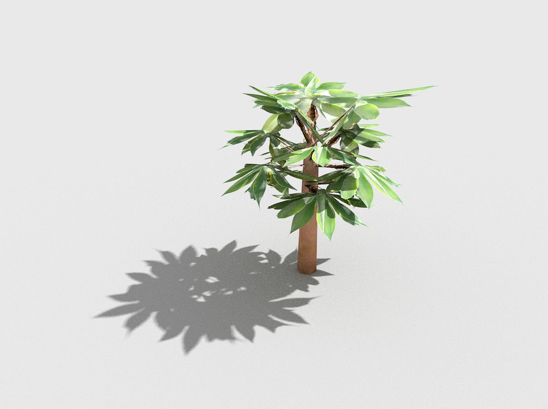low poly tropical shrub 5 Low-poly 3D model_5