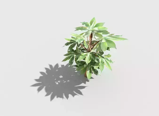 low poly tropical shrub 5 Low-poly 3D model