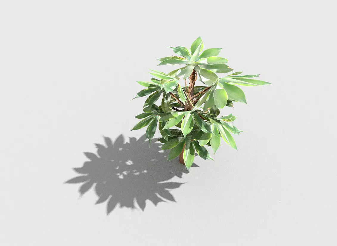 low poly tropical shrub 5 Low-poly 3D model_0