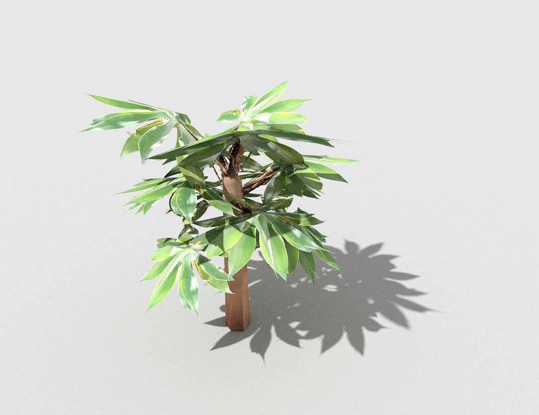 low poly tropical shrub 5 Low-poly 3D model_1