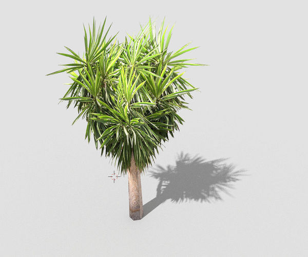 low poly tropical tree Low-poly 3D model