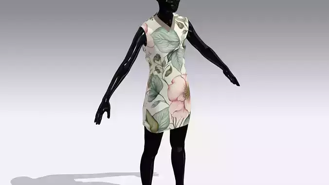 Woman Cloth Dress