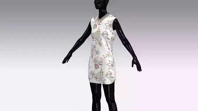 Woman Cloth Dress
