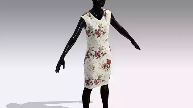 Female Cloth Dress