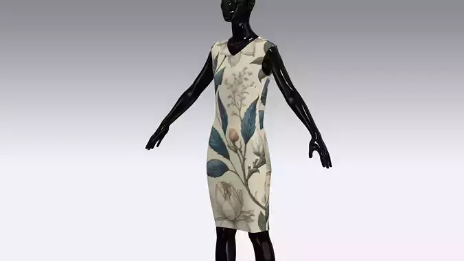 Female Cloth Dress