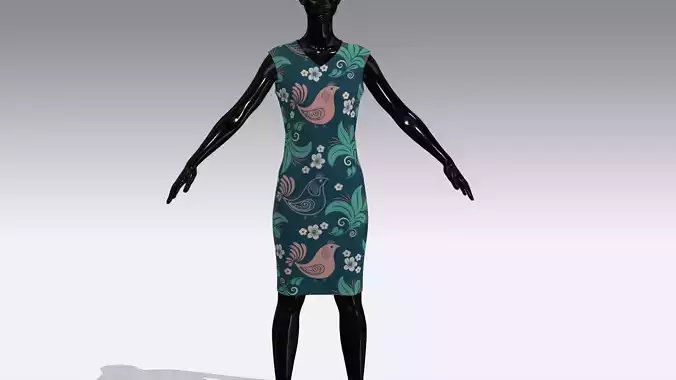 Female Cloth Dress