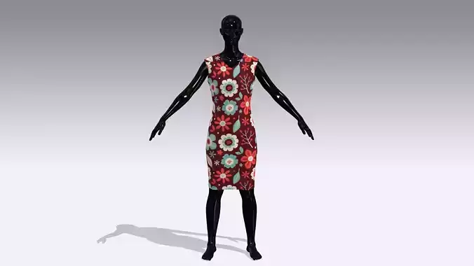 Female Cloth Dress