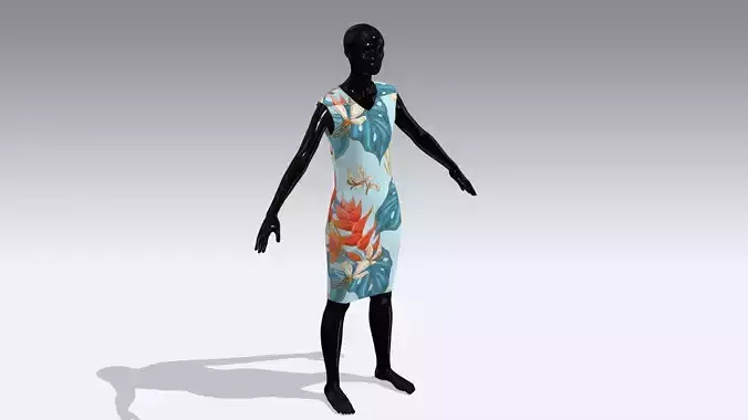 Female Cloth Dress